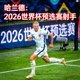 哈兰德 挪威 2026世界杯预选赛射手